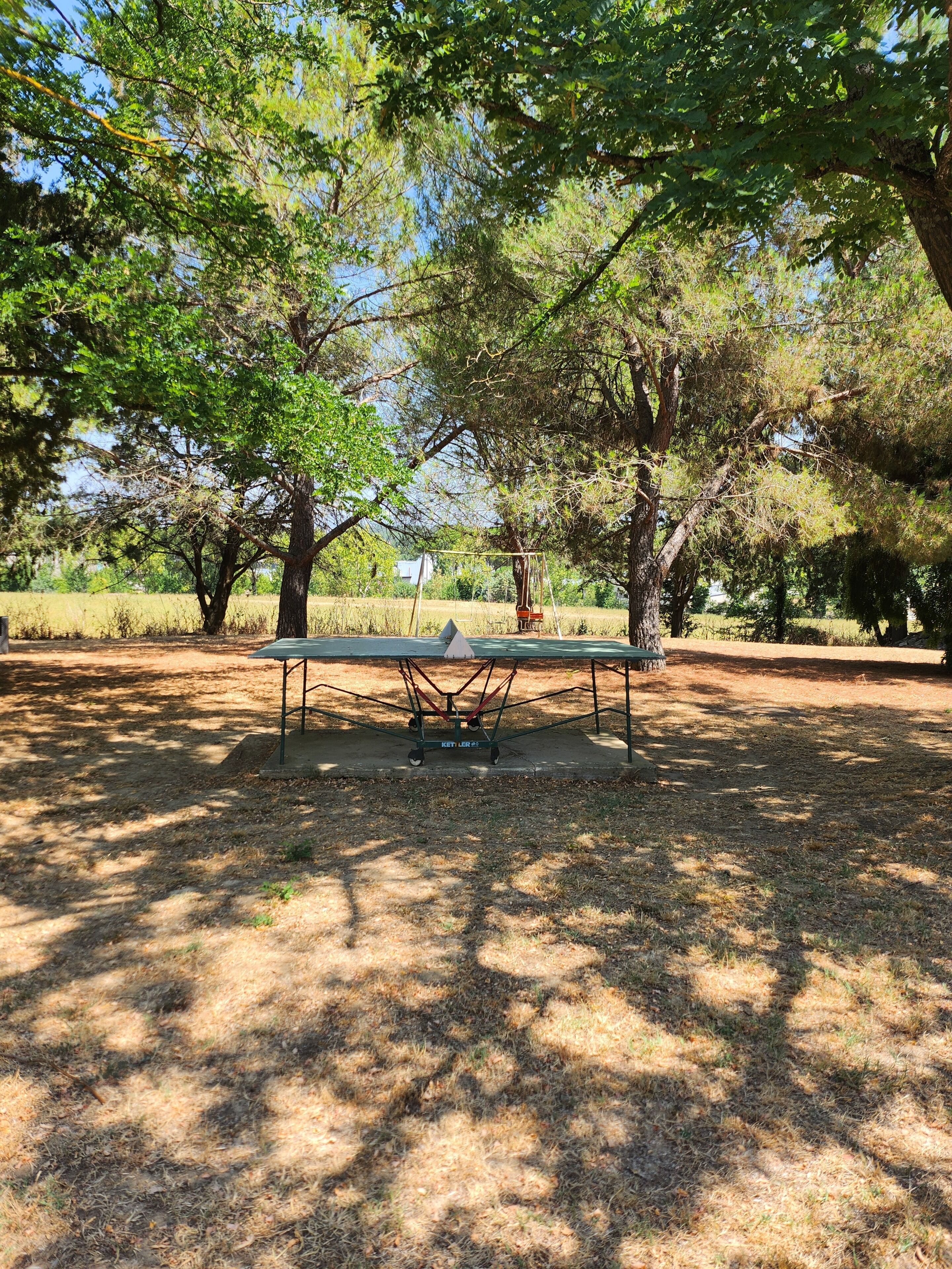 A park with a picnic table surrounded by trees.