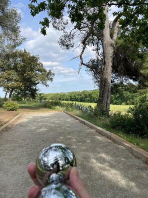 Un camí que travessa un parc ple d'arbres i vegetació.