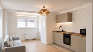 Eine moderne Küche mit Backofen, Mikrowelle und Spüle. Ein Fenster mit Jalousien, ein Heizkörper und ein Sofa befinden sich im angrenzenden Wohnbereich.