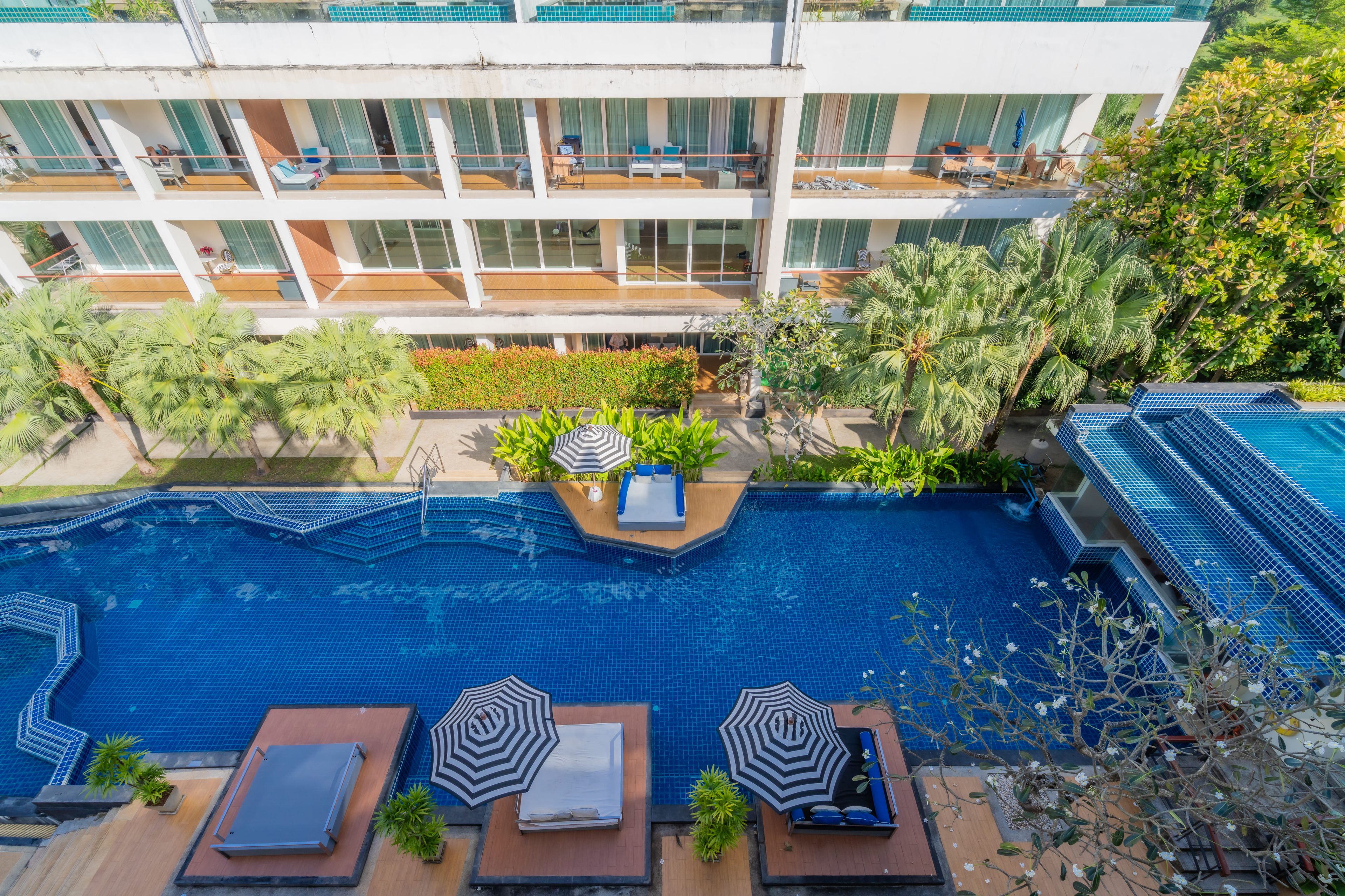 A rooftop swimming pool with lounge chairs and umbrellas, surrounded by greenery and a multi-story building.