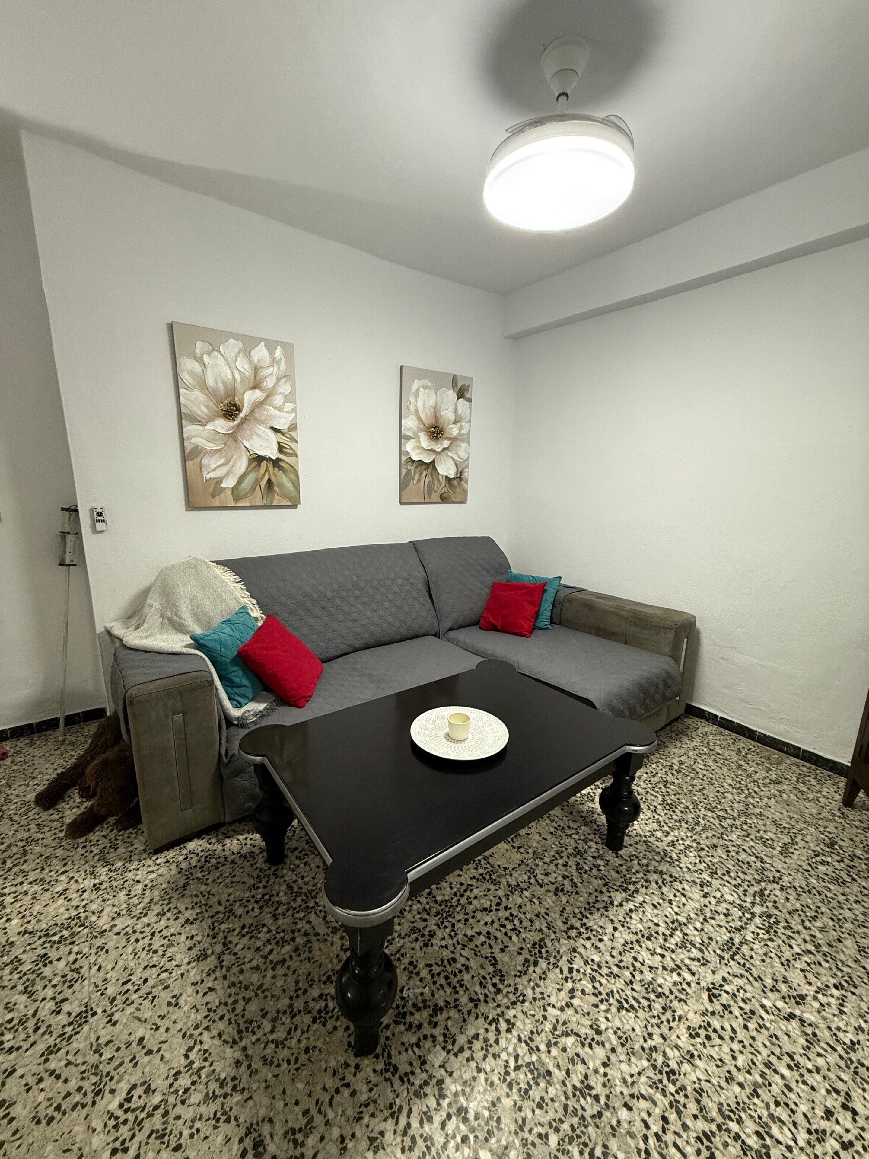 A room with a grey sofa, a black coffee table, and two floral paintings on the wall.