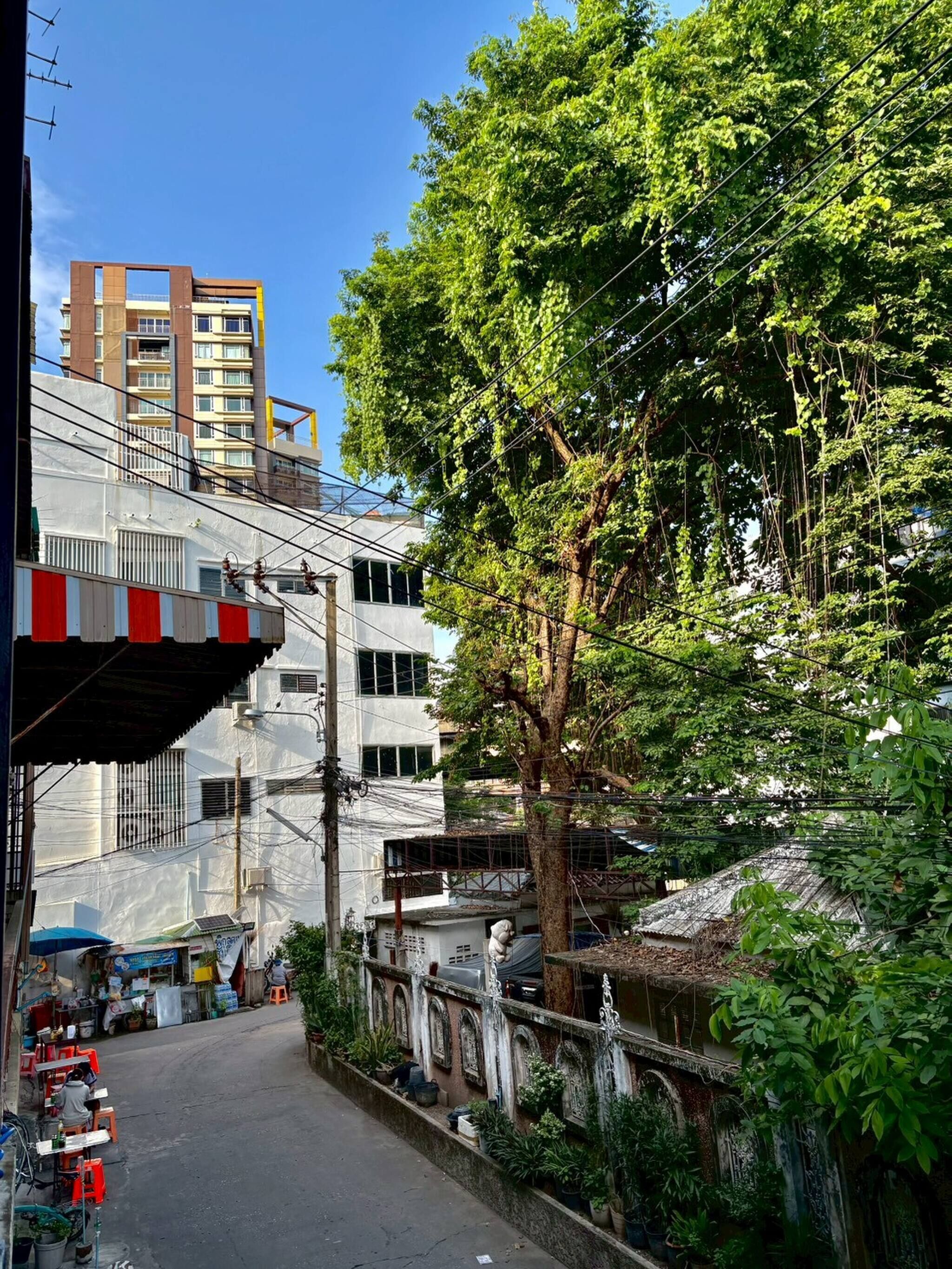 A narrow street with a tree-lined sidewalk, a building with a white facade, and a red and white striped awning.