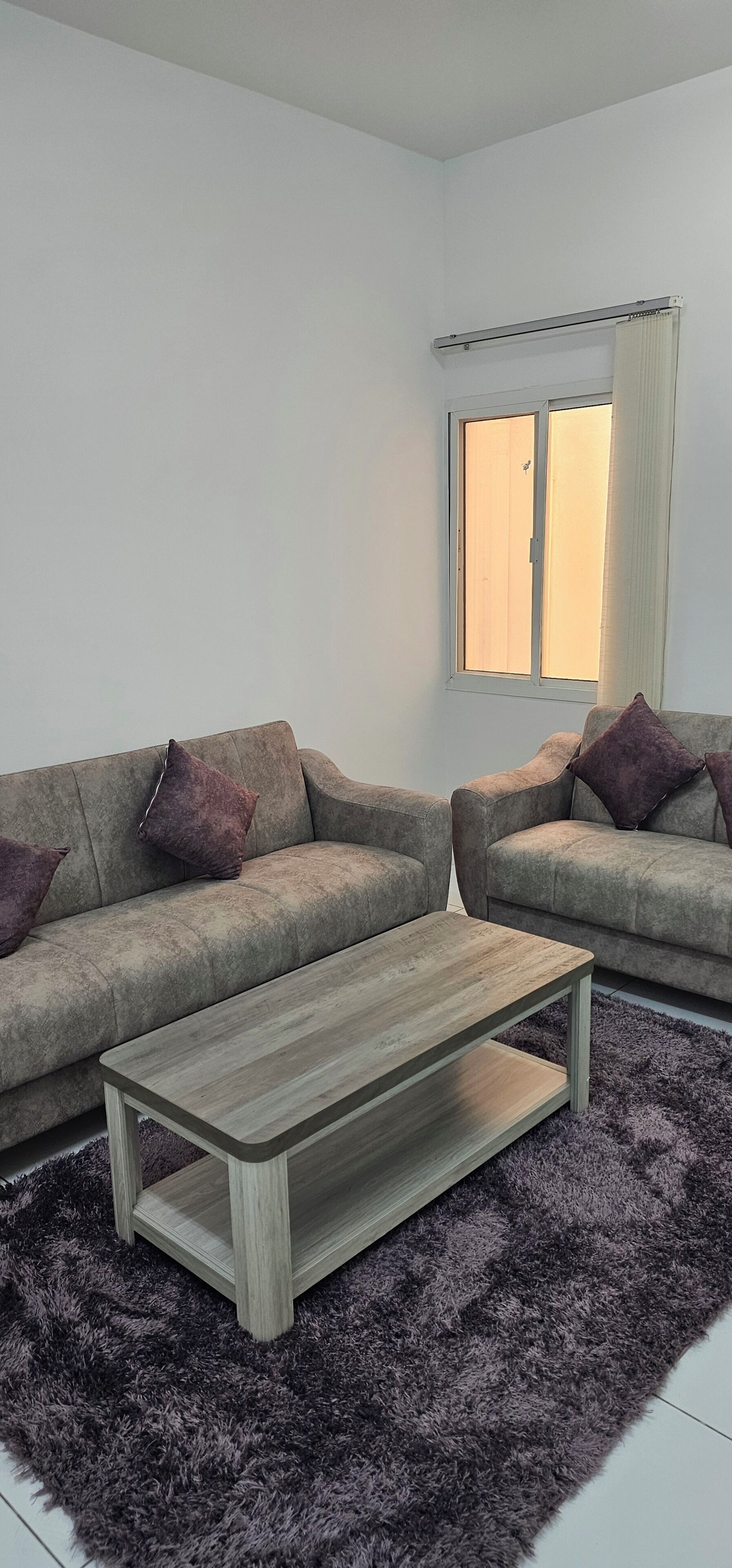 Deluxe Apartment | Living area