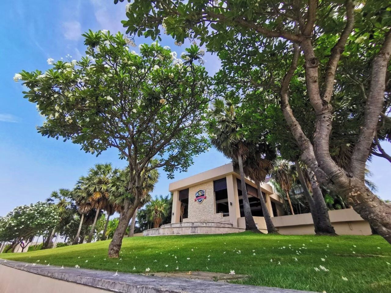A building with a stone facade, a crest emblem, and surrounded by palm trees and grass.