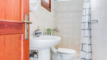 A bathroom with a sink, toilet, shower, and a wooden door.