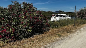 A boat docked near a bush with red flowers, a dirt path, and a clear blue sky.