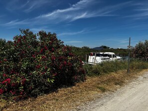 A boat docked near a bush with red flowers, a dirt path, and a clear blue sky.