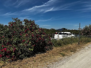 Un bote amarrado cerca de un arbusto con flores rojas, un sendero de tierra y un cielo azul despejado.