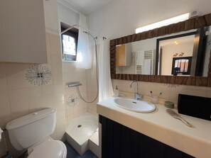 A bathroom with a toilet, a shower, a sink, and a mirror. - Cozy studio in the heart of the station (Le Monêtier-les-Bains)