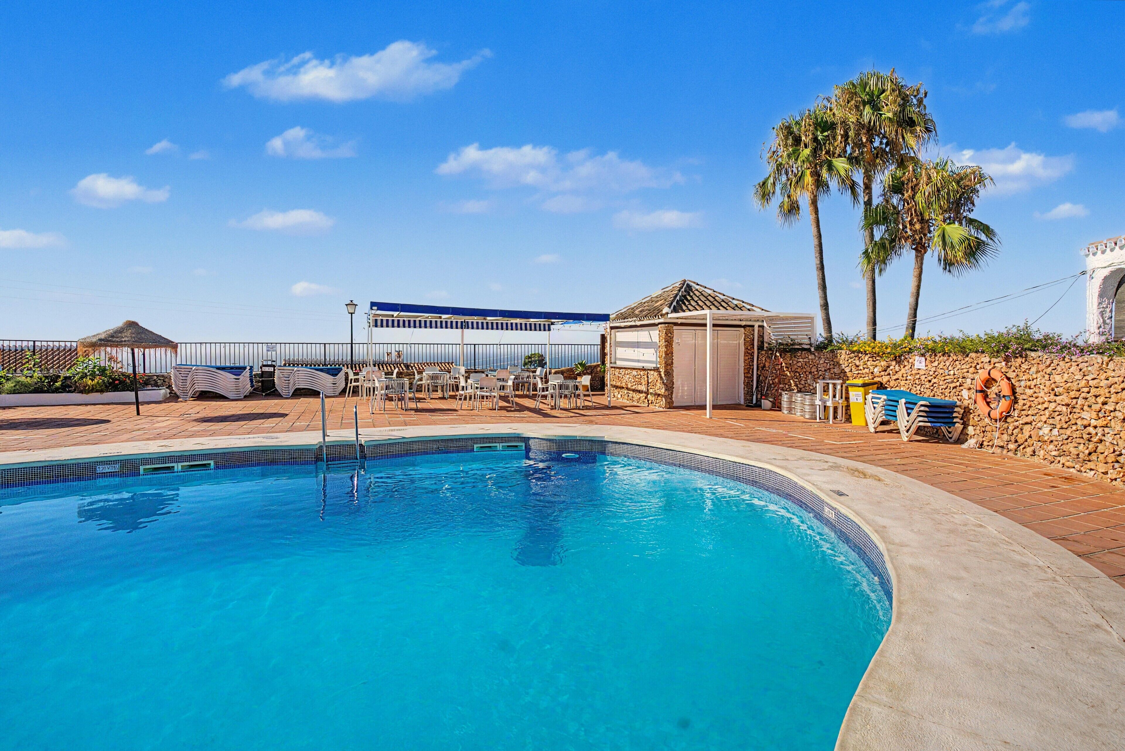 A swimming pool with lounge chairs and umbrellas, a stone wall, and palm trees.