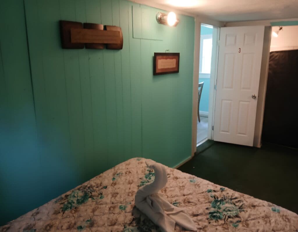 A room with teal walls, a bed with floral bedding, a framed picture, and a door labeled '3'.