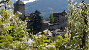 A historic village with traditional architecture, a prominent tower, and snow-capped mountains in the background.