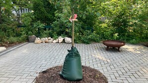 A paved garden area with a tree, a stone bench, and a trash bin.