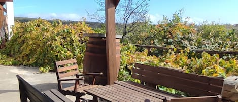 Terassi/patio