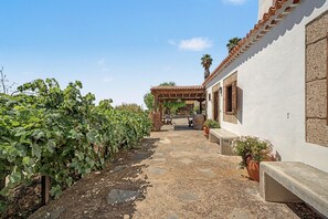 Un sentier traversant un vignoble et menant à un bâtiment doté d’un toit en tuiles et d’une pergola.