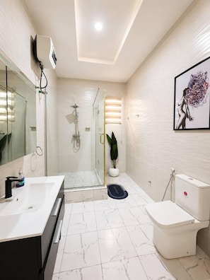 Regadera, bidet, toallas, shampoo 