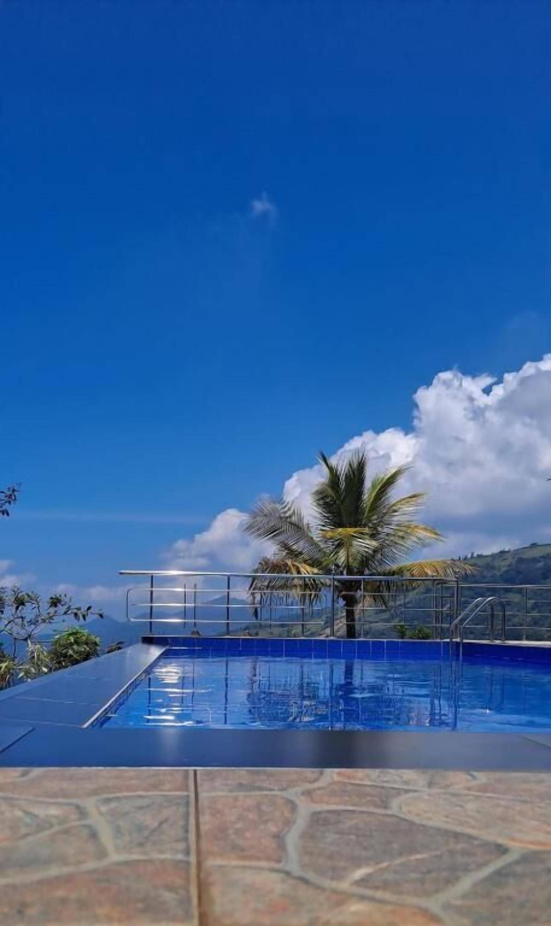 Una piscina con una palmera y una barandilla de metal.