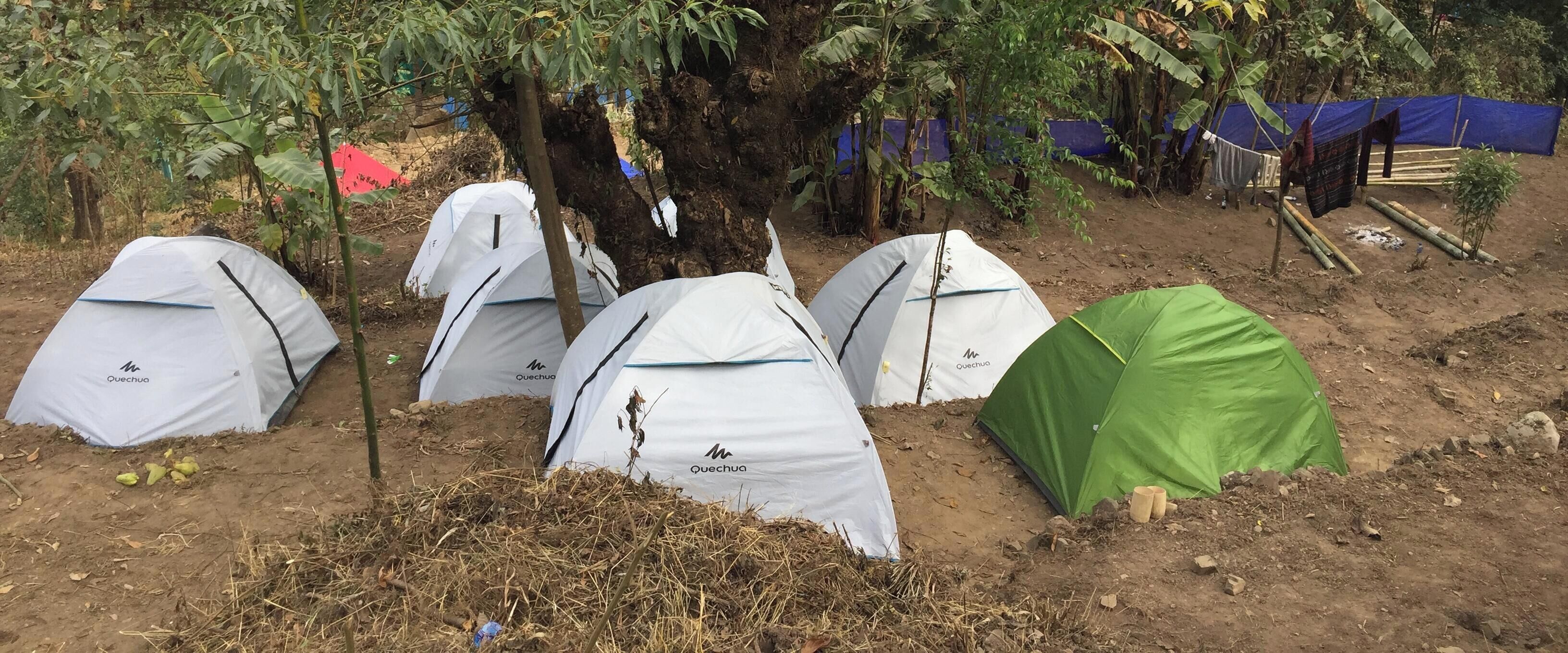 Varias tiendas de campaña, algunas con el logo de Quechua, instaladas en un entorno natural con árboles y suelo de tierra.