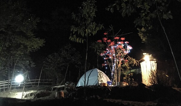 A tent set up in a wooded area at night with a tree decorated with lights. - JustGoCamping (Kohima)