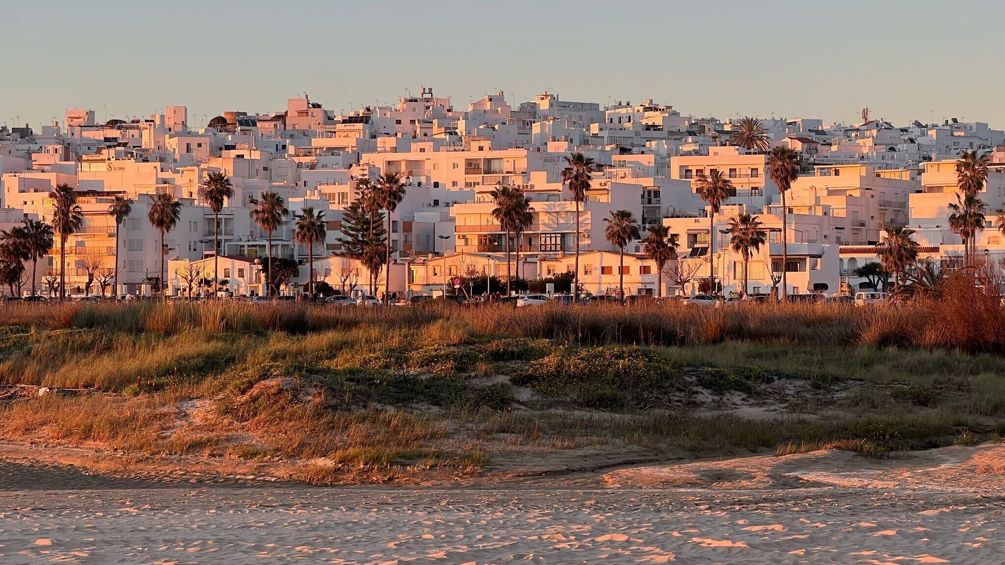 A coastal cityscape with densely packed buildings, palm trees, and a sandy foreground.