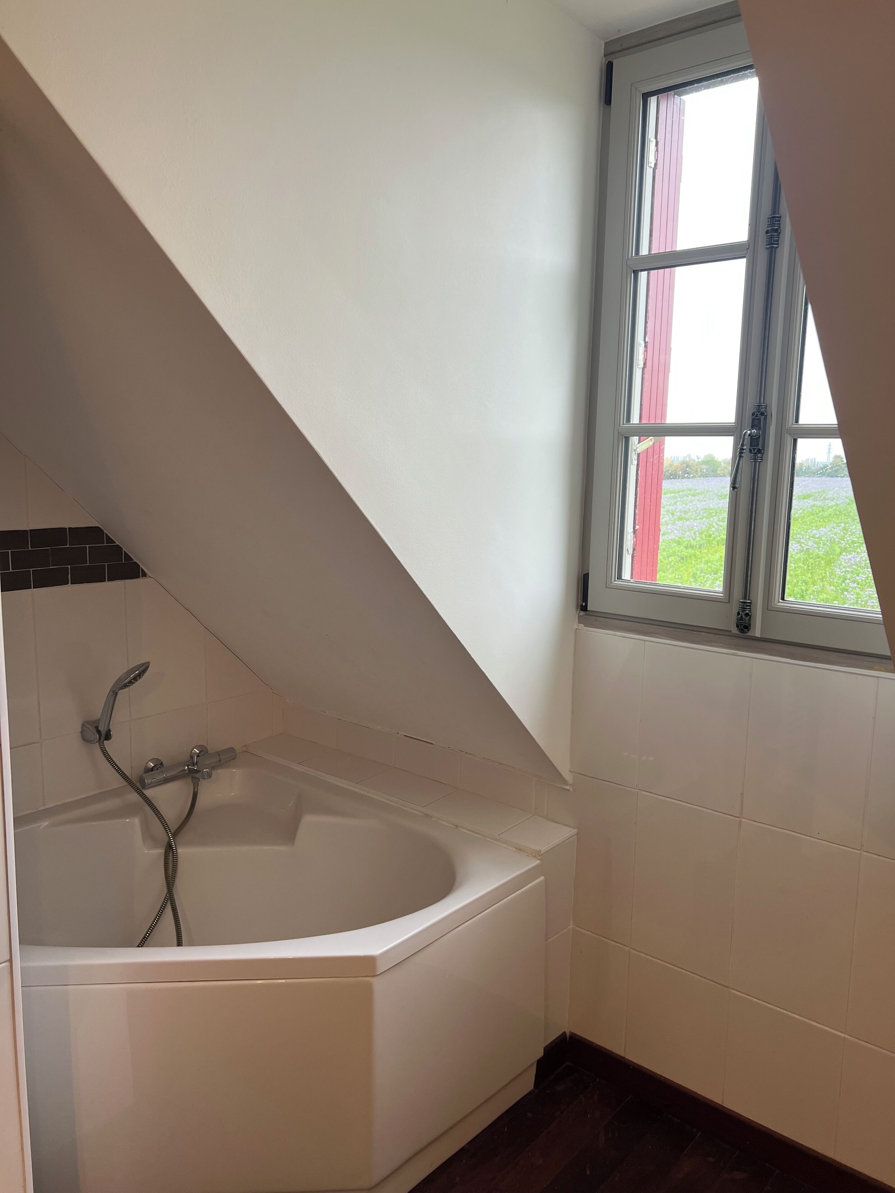 Un baño con bañera, ducha y ventana con vistas a un campo.
