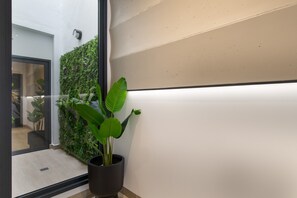 Eine Topfpflanze neben einer Wand mit strukturierter Oberfläche und einem Fenster.