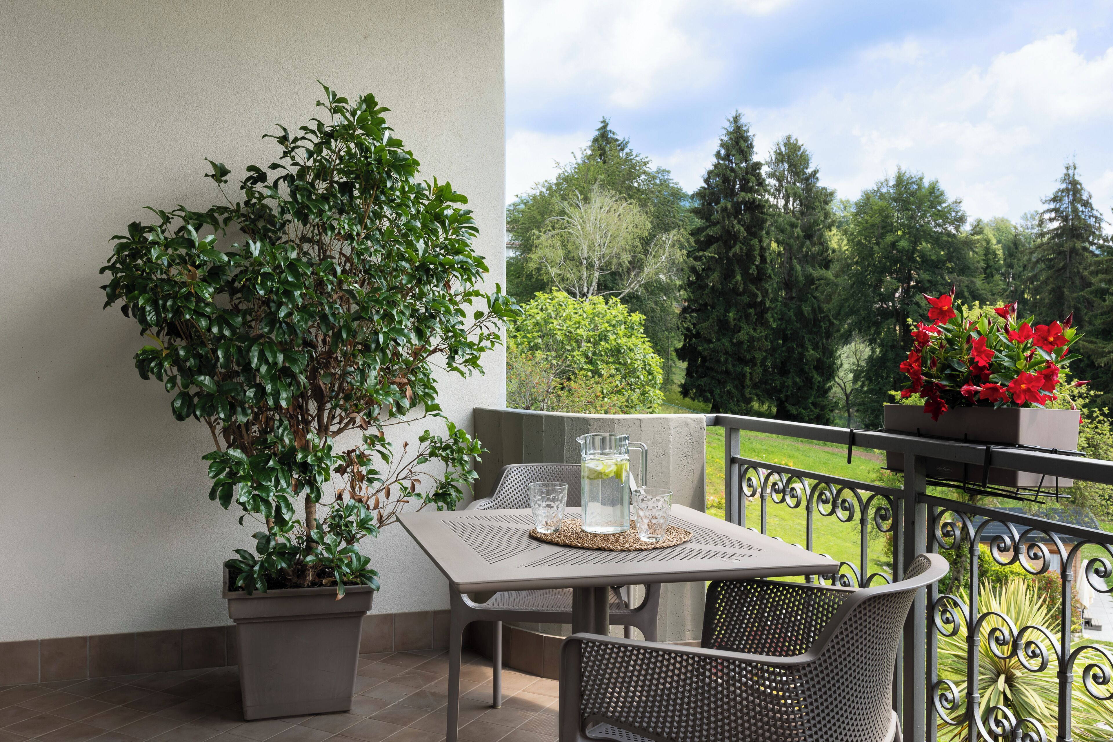 Un balcon avec une table et des chaises, un pot de fleurs et une vue sur des arbres et un jardin.
