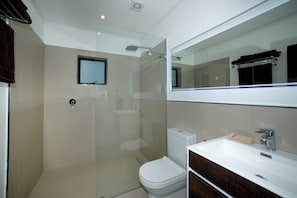 A modern bathroom with a glass shower enclosure, a toilet, a sink, and a large mirror.