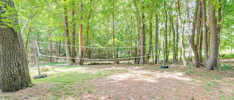 A forested area with a rope bridge, trees, and a dirt ground.