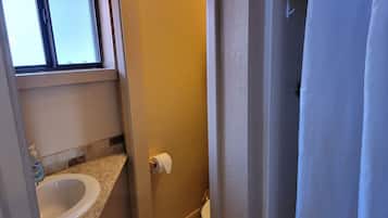 Une salle de bain équipée de toilettes, d’un lavabo et d’un rideau de douche.