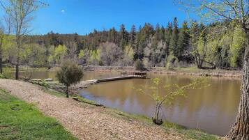 Un entorno tranquilo junto al lago, con un muelle de madera, rodeado de árboles y un cielo despejado.