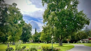 Un sendero en un parque con árboles y una farola.