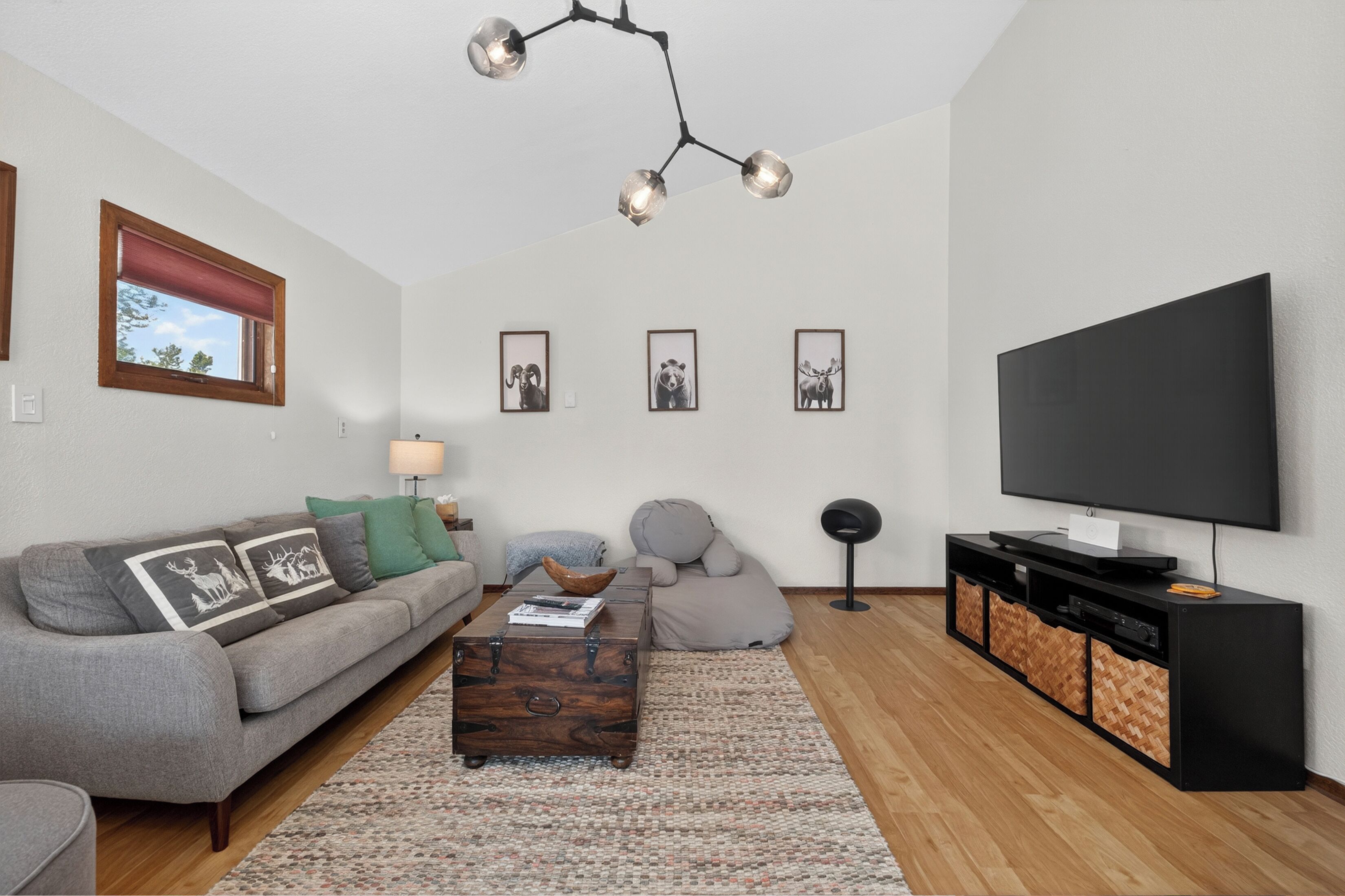 TV, fireplace