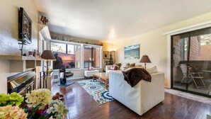 Smart TV, fireplace, DVD player, books