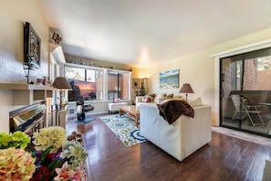 Smart TV, fireplace, DVD player, books