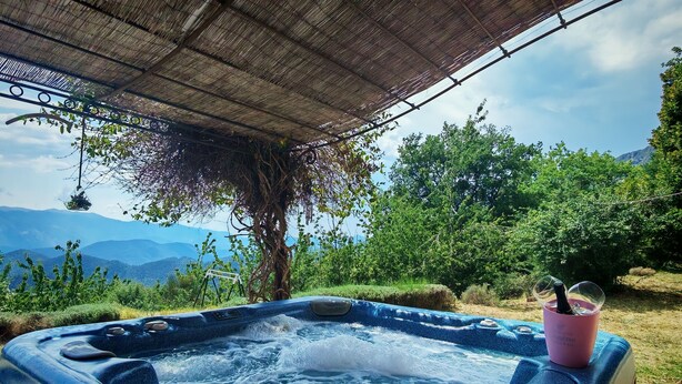A hot tub under a thatched roof with a view of mountains.