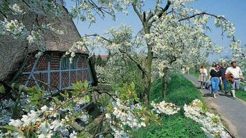 Ferienhaus | Außenbereich