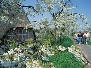 Huis | Exterieur