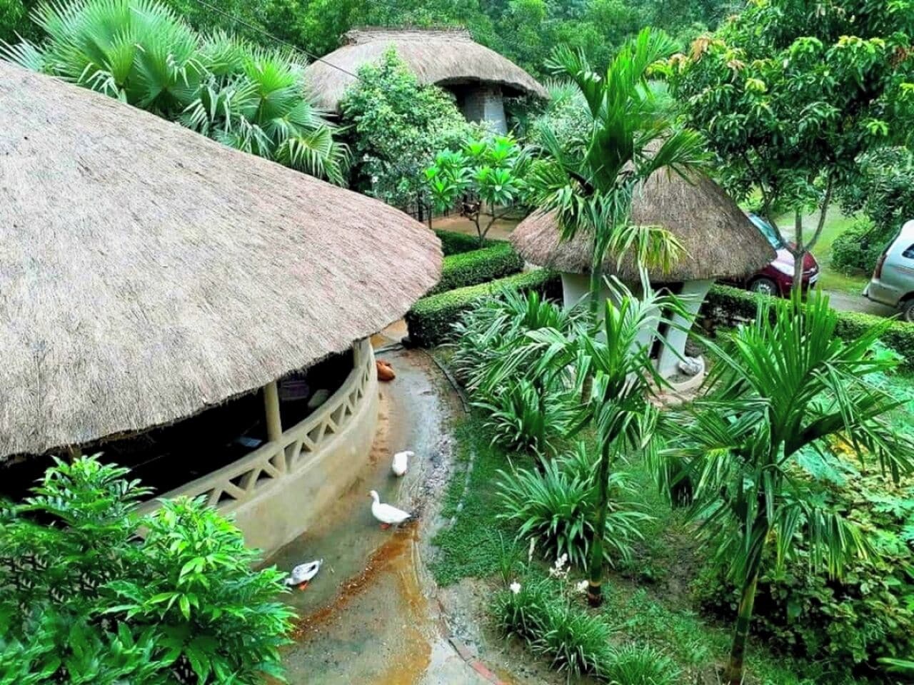 Un resort tropical con cabañas de techo de paja, abundante vegetación y un pequeño canal de agua.