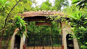 Une arche rustique en bois, surmontée d’un portail en métal, le tout entouré d’une végétation luxuriante.