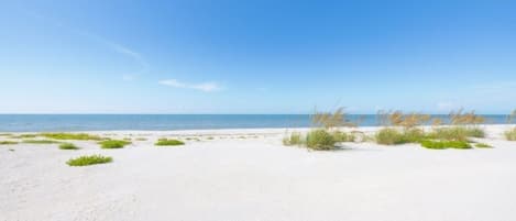 Una playa arenosa con poca vegetación y un cielo azul despejado.