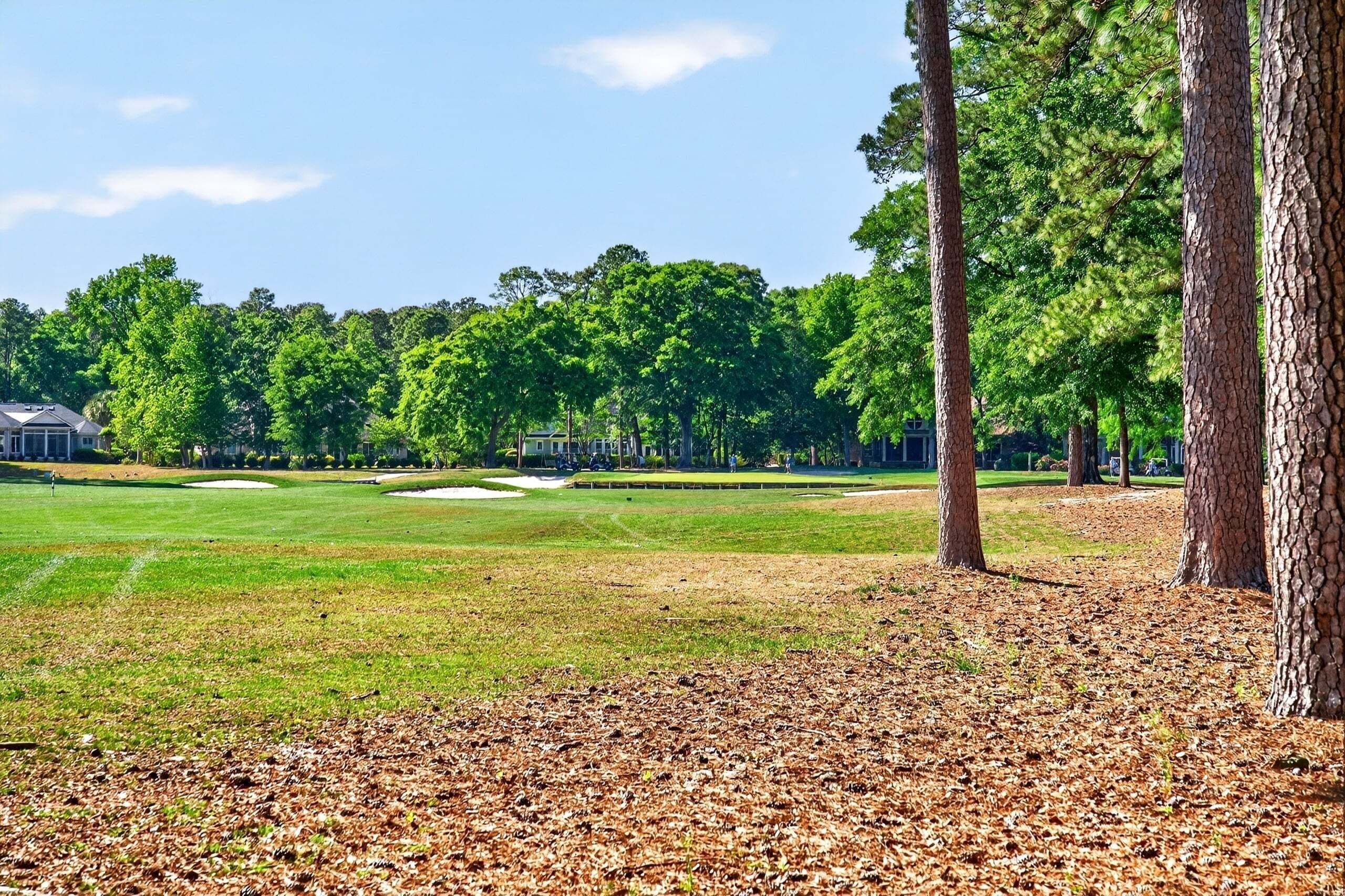 A golf course with a clear sky, trees, and a well-maintained lawn.