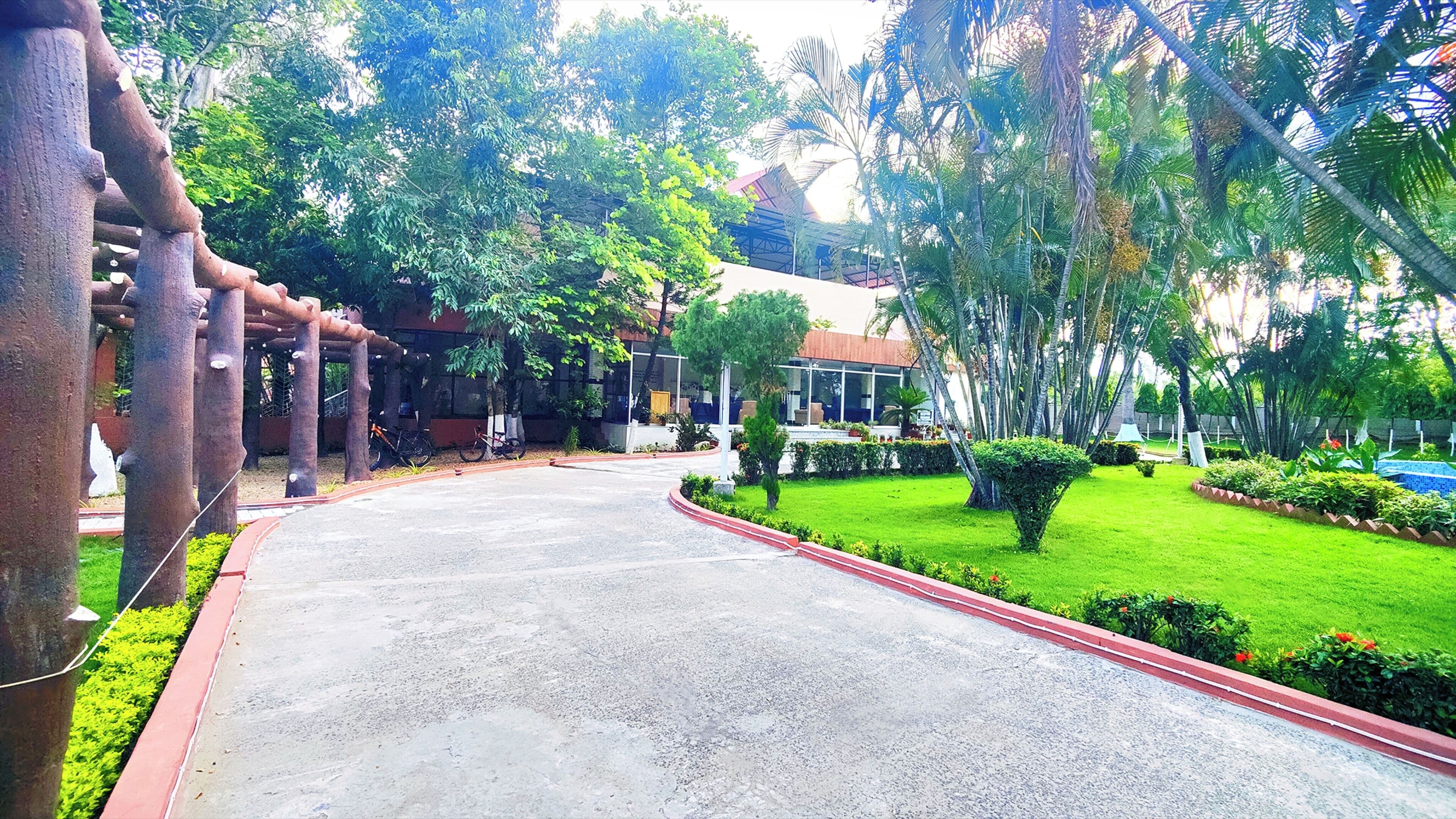 A paved pathway leading to a building with a modern design, surrounded by lush greenery and palm trees.