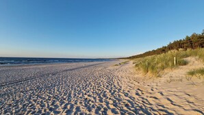 A sandy beach with waves, grassy dunes, and a clear sky. - Posesja Plażowa 4c II & SPA (Grzybowo)