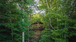Una cabaña rodeada de un bosque frondoso.