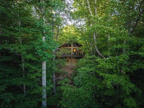 A cabin surrounded by dense forest.