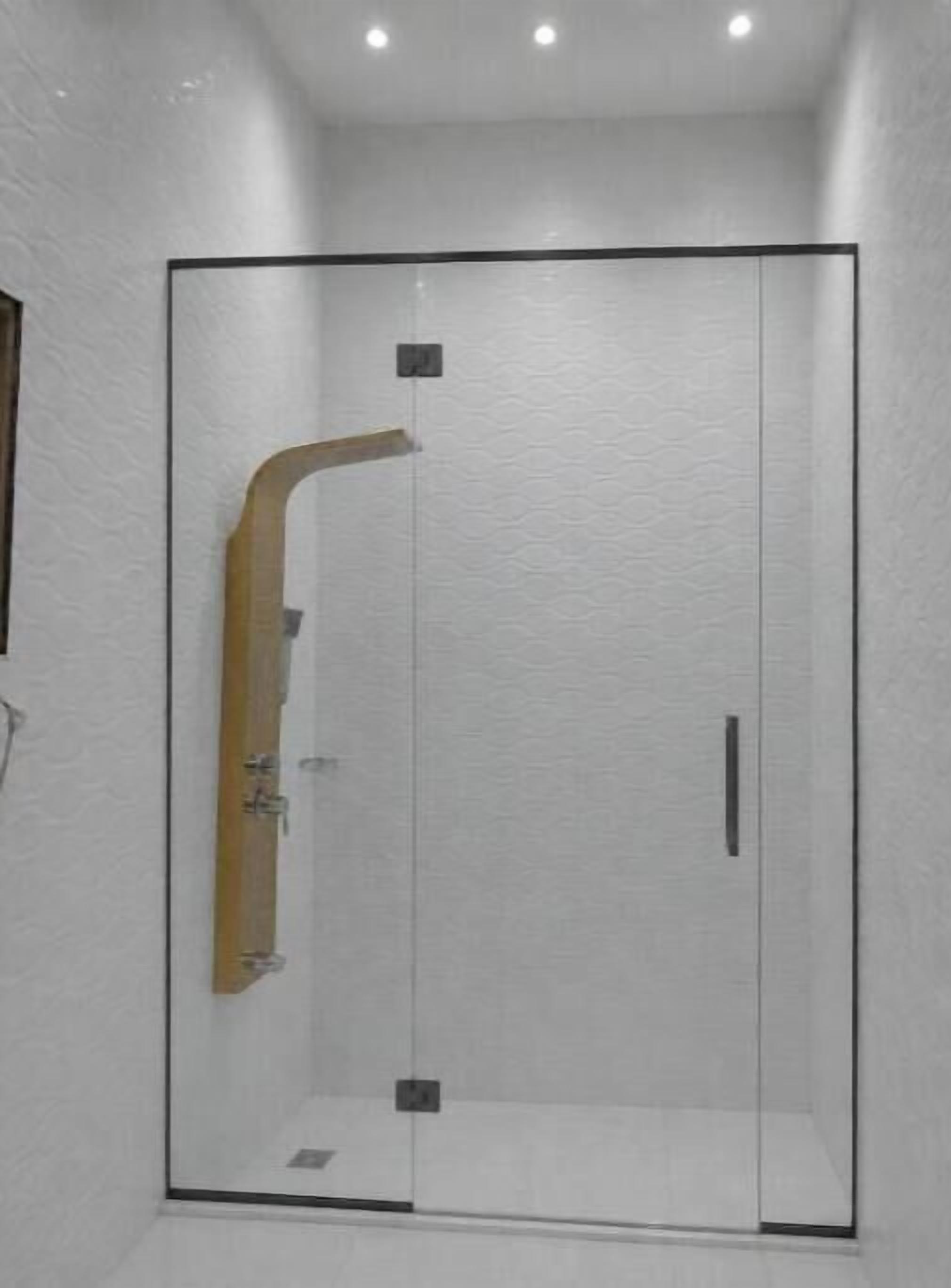 Shower, towels, toilet paper