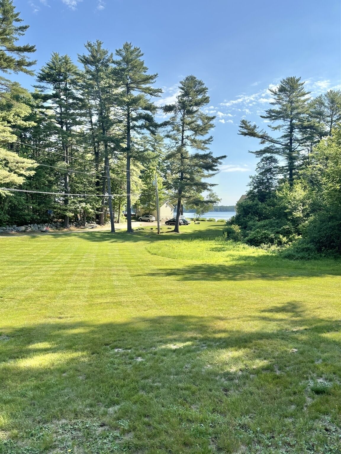 A grassy field with trees and a view of a body of water.