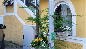 Detalle exterior