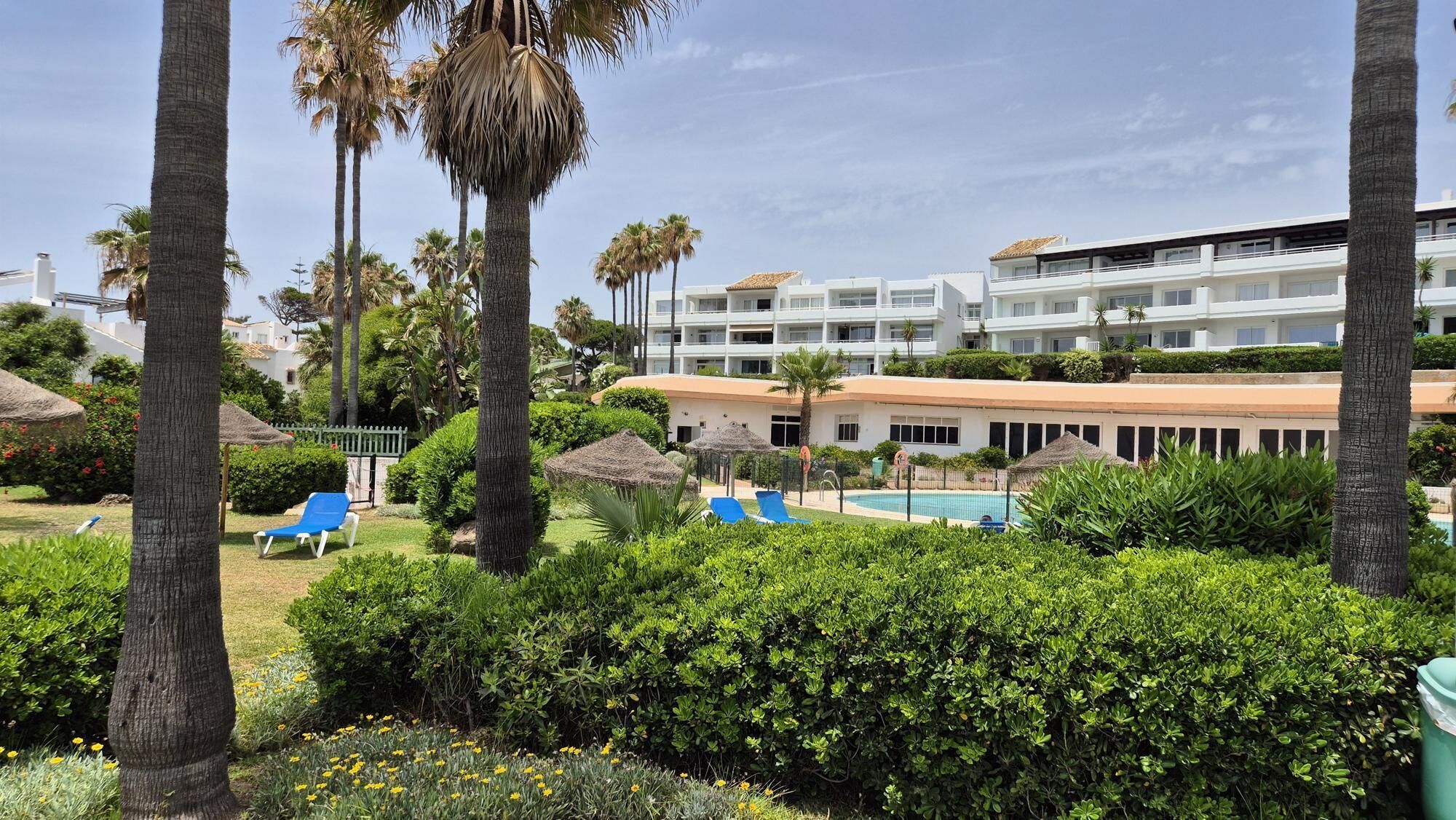 Ein Resort mit Schwimmbad, Liegestühlen und Palmen.